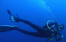 Activities Diving - Blue Moon Villas Bali